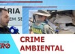 PRF apreende mais de 1,6 tonelada de barbatanas de tubarão e bexigas natatórias em Sergipe