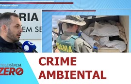 PRF apreende mais de 1,6 tonelada de barbatanas de tubarão e bexigas natatórias em Sergipe