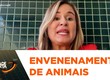 Kitty Lima repudia envenenamento a animais e orienta população a denunciar no 181
