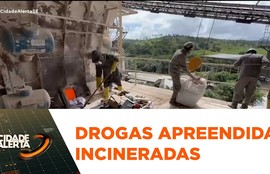 Polícia Civil incinera cerca de 1500 quilos de drogas apreendidas em Sergipe