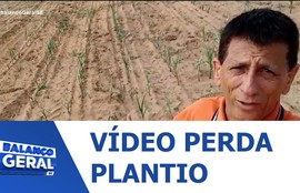Confira vídeo de morador do Povoado Barra da Onça sobre perda da plantação de milho