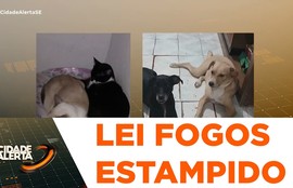 Lei que proíbe fogos de artifício com estampido não está sendo cumprida