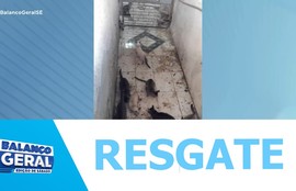 Cinco gatos são resgatados de imóvel no Bairro Siqueira Campos