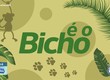 Confira os destaques do quadro ‘É o Bicho’ nesta quinta-feira (02)