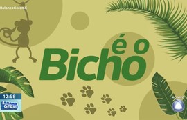 Confira os destaques do quadro ‘É o Bicho’ nesta quinta-feira (02)