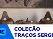 Museu Olímpio Campos celebra emancipação de Sergipe com exposição da Coleção Traços Sergipe
