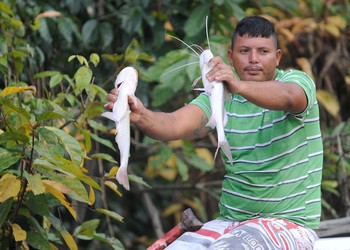 Defeso da Piracema 2025: Pesca comercial é restrita no país, com impacto em 28 cidades sergipanas