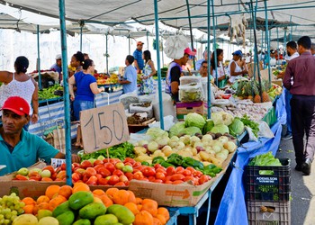 Prefeitura de Aracaju antecipa feiras livres em virtude das comemorações natalinas