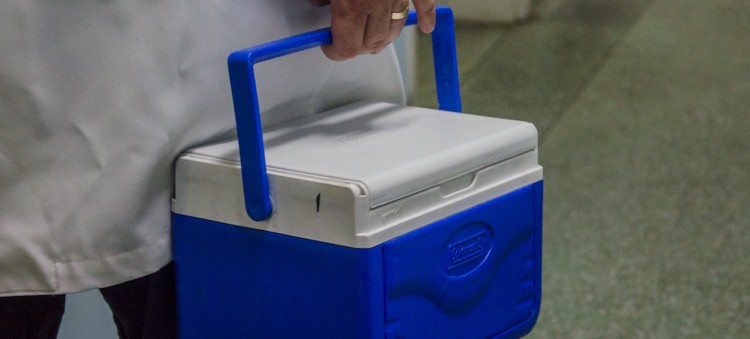 Setembro Verde: Central de Transplantes sensibiliza a sociedade para a doação de órgãos