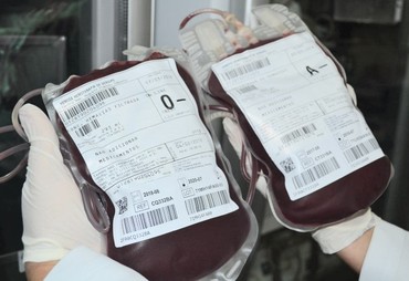 Hemose faz convocação urgente por doadores de sangue O negativo em Sergipe