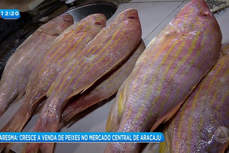 Quaresma: cristãos vão em busca do peixe no Mercado Central
