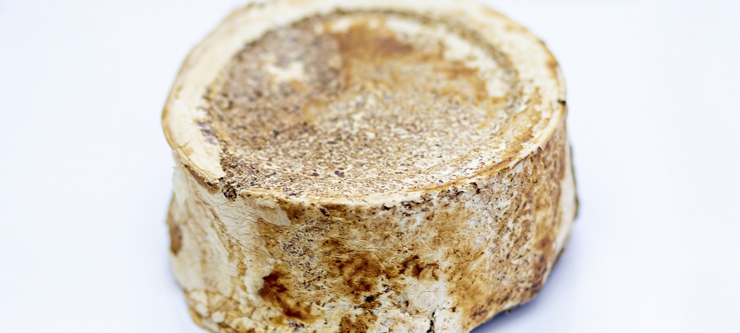 Fungos comestíveis e resíduos da agroindústria podem virar embalagens biodegradáveis