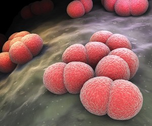 Paciente de 50 anos é internado com meningite meningocócica em Sergipe