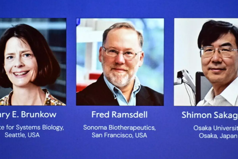 Três cientistas ganham Nobel de Medicina 2025 por avanços no sistema imunológico