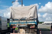 Fiscalização na BR-101 apreende irregularidades e recolhe R$ 37 mil em impostos