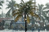 Inverno começa neste domingo e pode ter menos chuva em Sergipe