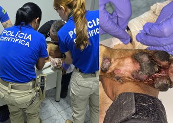 Motociclista é investigado por maus-tratos após arrastar cadela presa por coleira em Aracaju