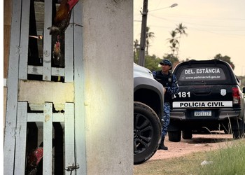50 galos vítimas de maus-tratos são apreendidos em Estância