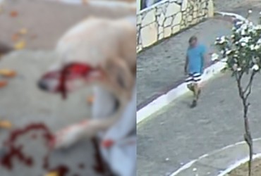 Homem ataca cachorro no rosto com faca em via pública na Barra dos Coqueiros