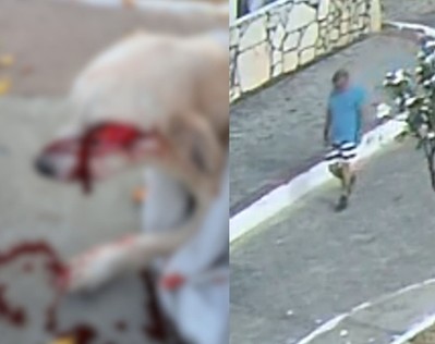 Homem que matou cachorro com golpe de faca na Barra dos Coqueiros é preso