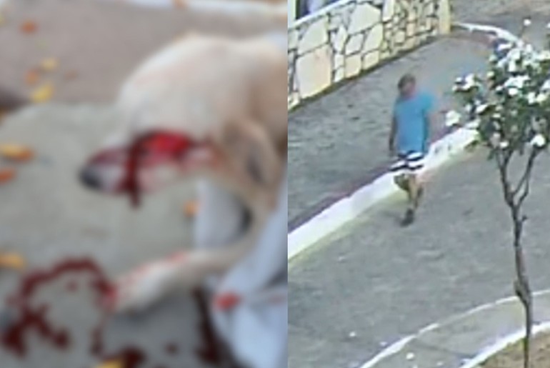 Homem ataca cachorro no rosto com faca em via pública na Barra dos Coqueiros