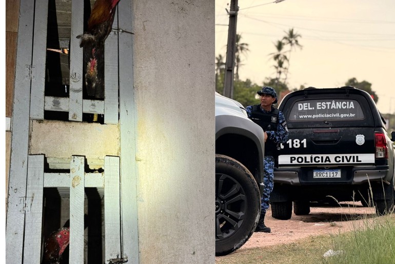 50 galos vítimas de maus-tratos são apreendidos em Estância
