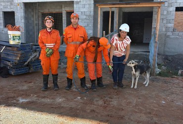 Cachorro é resgatado após ficar preso em sacada de prédio em Aracaju