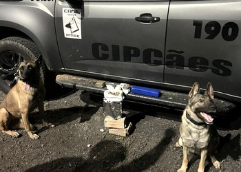 Suspeito de tráfico interestadual é preso com cerca de 2kg de drogas em Cristinápolis