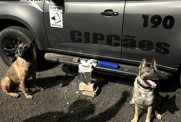 Suspeito de tráfico interestadual é preso com cerca de 2kg de drogas em Cristinápolis