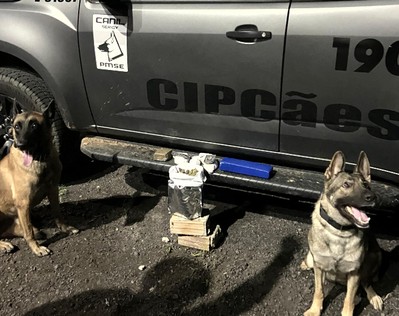 Suspeito de tráfico é preso com 2kg de drogas em Cristinápolis