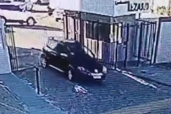 Atropelamento de cachorro em Lagarto é investigado pela Polícia Civil