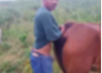 Suspeito de praticar zoofilia com um cavalo em Nossa Senhora das Dores é solto