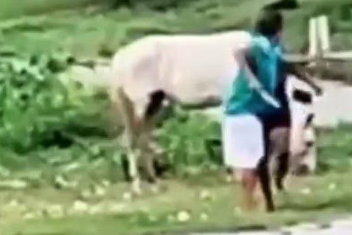 [VÍDEO] Homem é levado à delegacia de Propriá após agredir e ameaçar esposa, de 17 anos, com uma faca