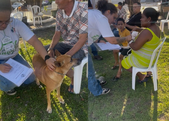 “Vidas em Equilíbrio” mostra a força do RenovaBR em Sergipe e o protagonismo de Marcelle Eloy na promoção da saúde e sustentabilidade