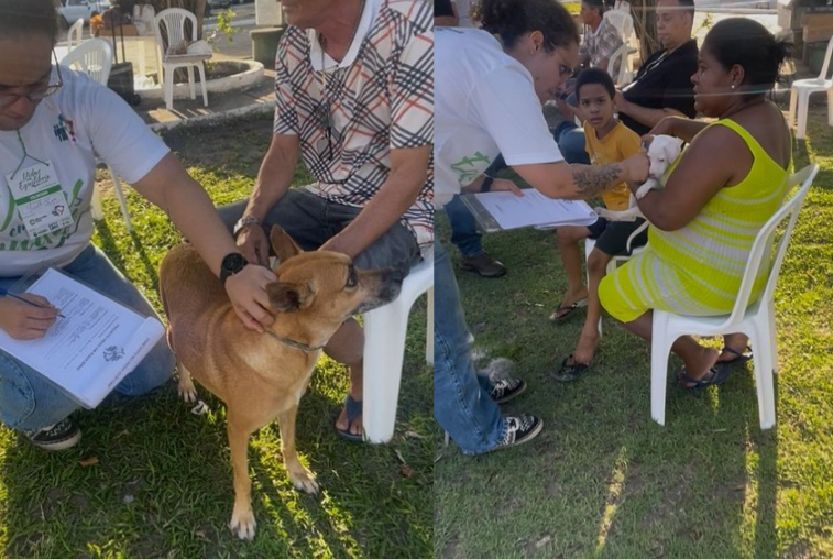“Vidas em Equilíbrio” mostra a força do RenovaBR em Sergipe e o protagonismo de Marcelle Eloy na promoção da saúde e sustentabilidade