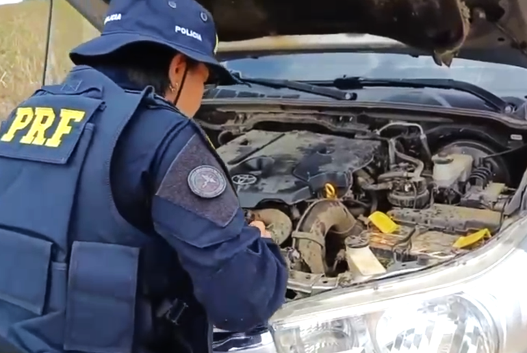 PRF recupera caminhonete com restrição de roubo em área rural de Frei Paulo