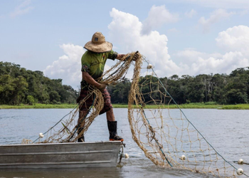Pescadores têm até dia 31 para comprovar atividade e garantir seguro‑defeso