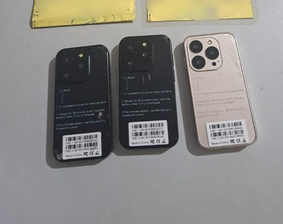 Casal de idosos é preso ao tentar entrar com celulares no Copemcan