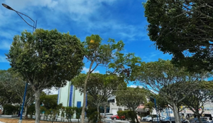 1° Feirinha Cultural de Itabaiana acontece neste domingo na Praça João Pessoa