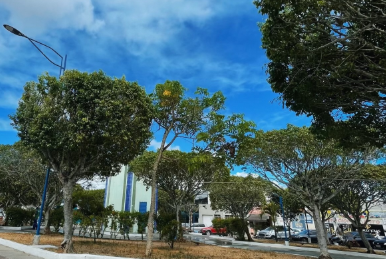 1° Feirinha Cultural de Itabaiana acontece neste domingo na Praça João Pessoa