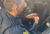 PRF recupera carro roubado e apreende arma, munições e droga em Malhada dos Bois