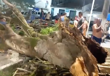 Árvore cai na Praça da Matriz e deixa comerciante ferido em São Cristóvão