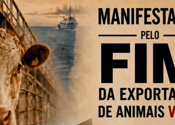 Aracaju terá ato na Orla da Atalaia contra exportação de animais vivos