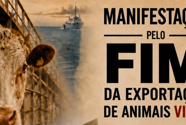 Aracaju terá ato na Orla da Atalaia contra exportação de animais vivos