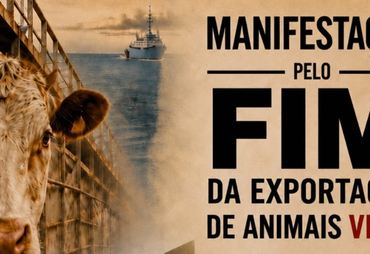Aracaju terá ato na Orla da Atalaia contra exportação de animais vivos
