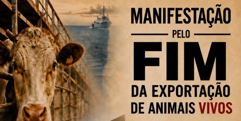Aracaju terá ato na Orla da Atalaia contra exportação de animais vivos