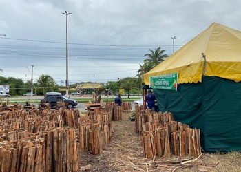 Aracaju abre cadastro para barracas, fogueiras e venda de fogos para o São João