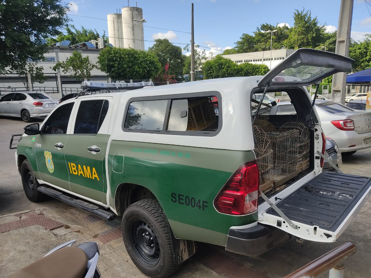 É preso suspeito de crime ambiental e 18 aves silvestres são recolhidas