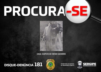 Polícia procura casal suspeito de furtar um cachorro no Centro de Aracaju