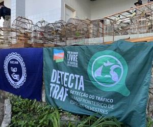 Operação apreende mais de 500 animais silvestres no sertão de Sergipe